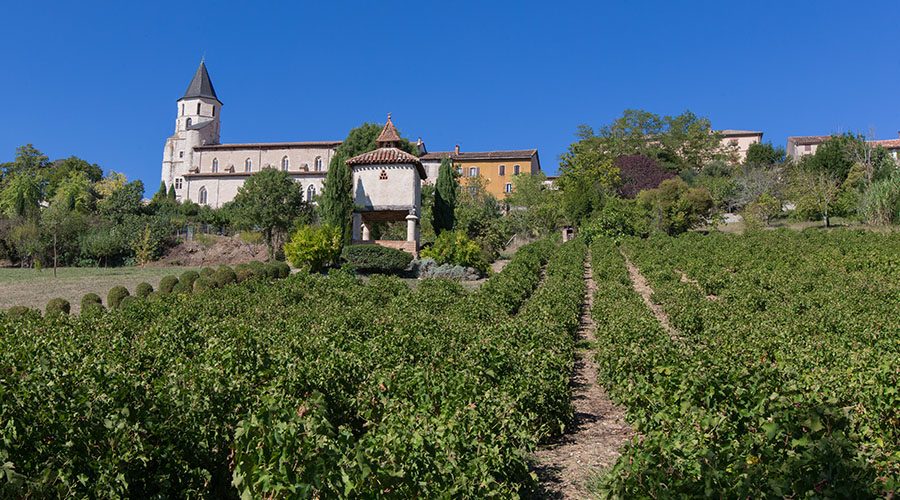 Labastide Vignoble