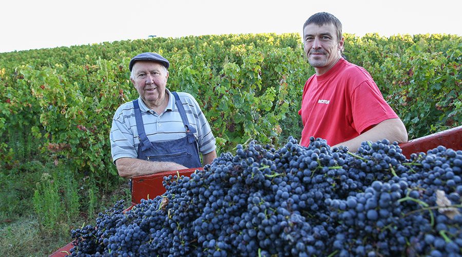 Labastide Vignoble