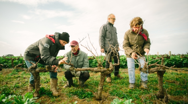 Labastide Vignoble