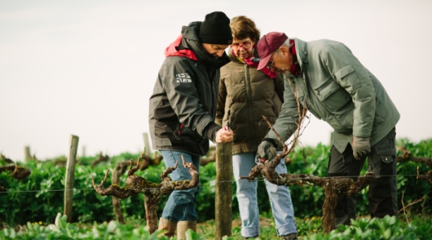 Labastide Vignoble