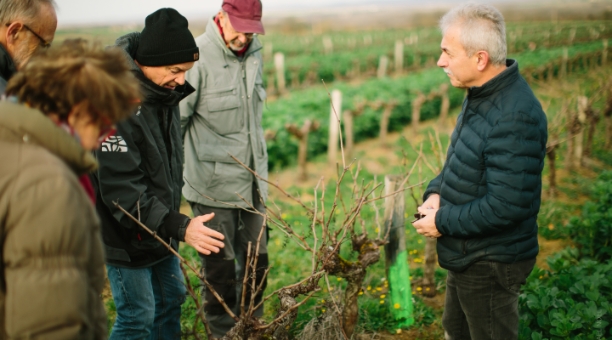 Labastide Vignoble